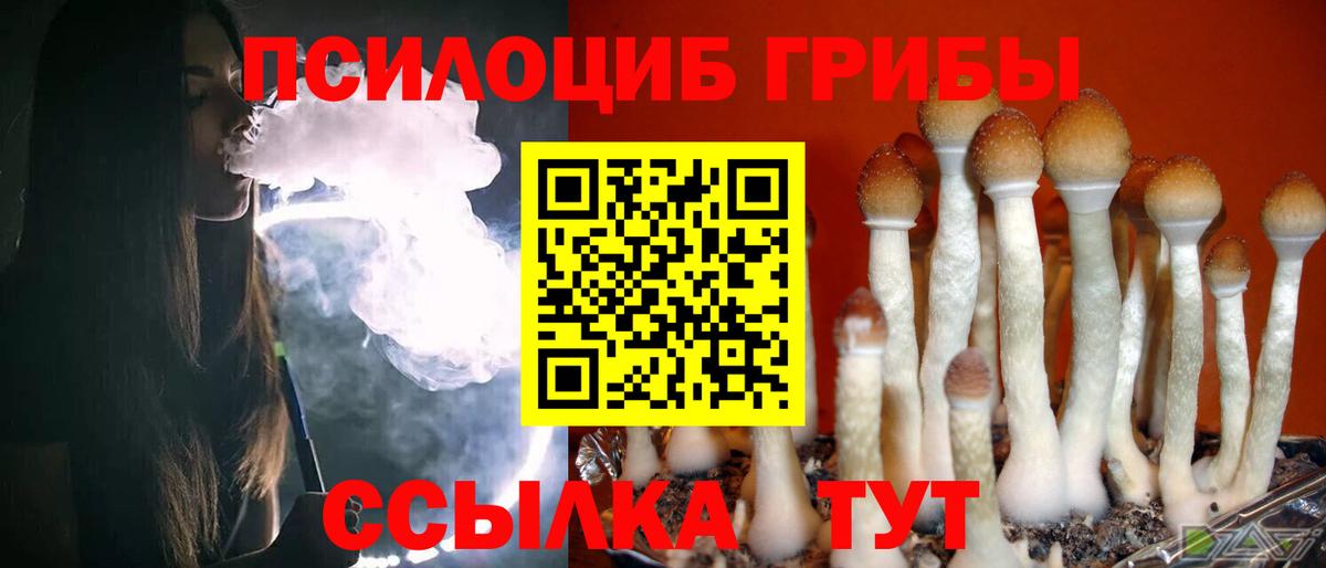 Тобольск  Галлюциногенные грибы прущие грибы  Вход с VPN  Псилоцибиновые грибы MAGIC MUSHROOMS 